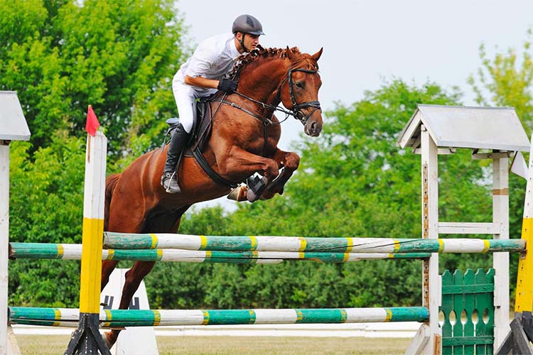 Sportif de haut niveau Bazainville